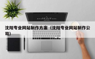 扬州沈阳专业网站制作方案（沈阳专业网站制作公司）